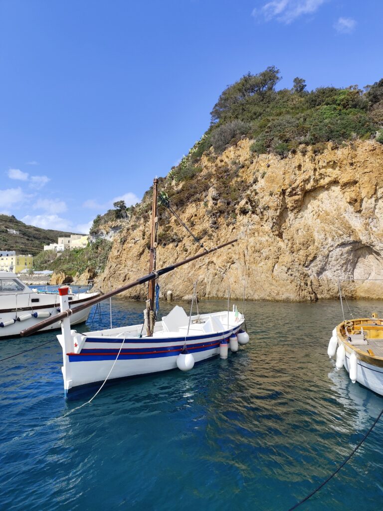 img 20240909 111532[1]