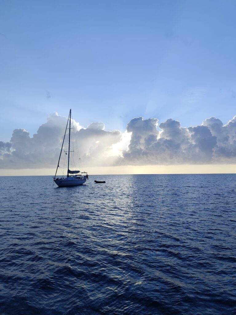 img 20240911 074728[1]