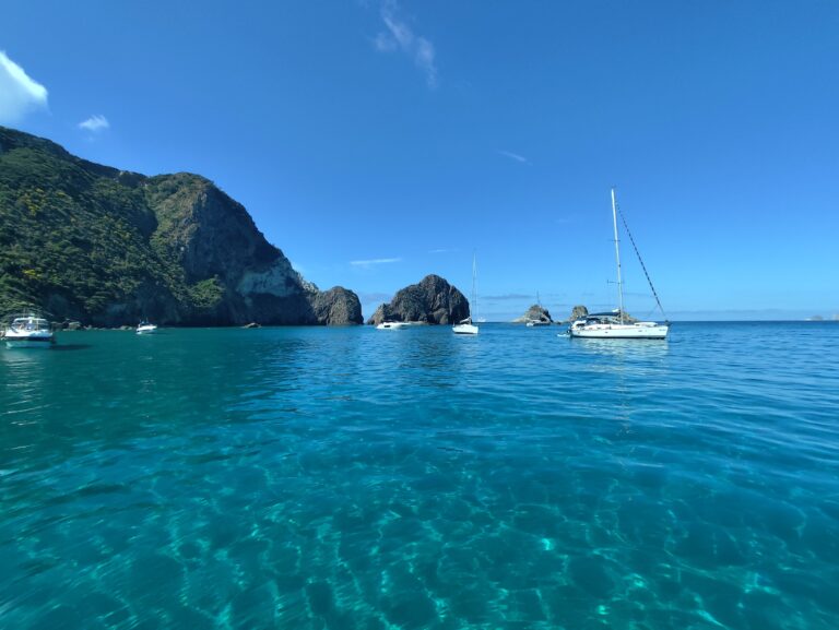 img 20250601 102606[1]