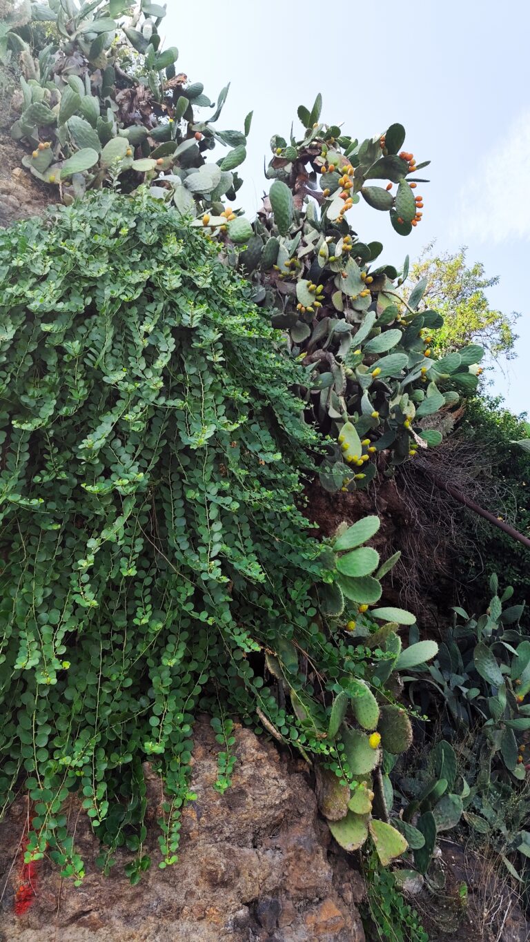 img 20250830 145655[1]